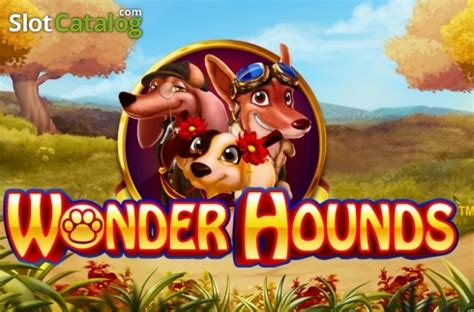 wonder hounds netent  657th of 1241 in Curaçao Sites 437th of 757 in Malta Sites 96th of 144 in Sweden Sites 1075th of 2011 in English Language casino games 85th of 252 in Core Gaming Sites 396th of 865 in NextGen Gaming Sites