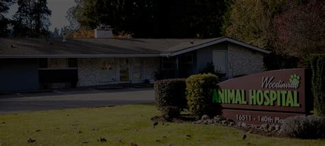 woodinville animal hospital  $16