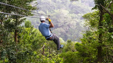 workds longest zipline The New York Zipline Canopy Tours offers three different outdoor adventures; Sky Rider, Night Zip Tour, and Mid-Mountain zip