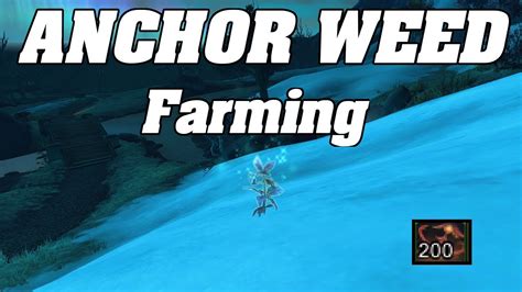 wow anchor weed farming Where is the best place to farm anchor weed wow? Drustvar – route 1 Due to the fact that Anchor Weed is an uncommon weed, it will sometimes spawn in place of other herbs