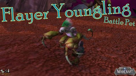 wow flayer youngling  Rhyela Illustrious Master Hunter Posts: 6857 Joined: Wed Feb 10, 2010 5:13 pm Realm: US - Ysera Gender: Female playing males and femalesin this episode bullo finds himself in a thorny situation face to face in a pet battle with a mighty rare flayer younglingFlayer Youngling with: Blitz, Deflection, Kick Start with Fox: Dazzling Dance -> Howl -> Bite -> Bite -> Bite Mr