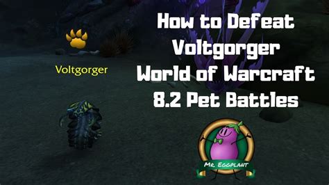 wow voltgorger  A quick guide on how to beat Sputtertube who is one of the new pet battles on Mechagon Island in Battle for Azeroth