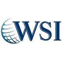 wsi franchise scams  But for many consumers, the cost of buying a franchise is the financial commitment of a lifetime