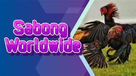 www.sabongww4.live  Register kobet to enjoy the