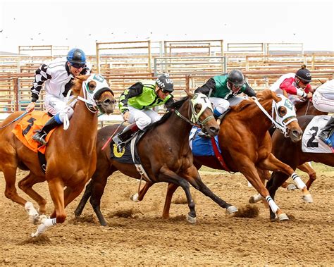 wyoming downs cheyenne wy  (9