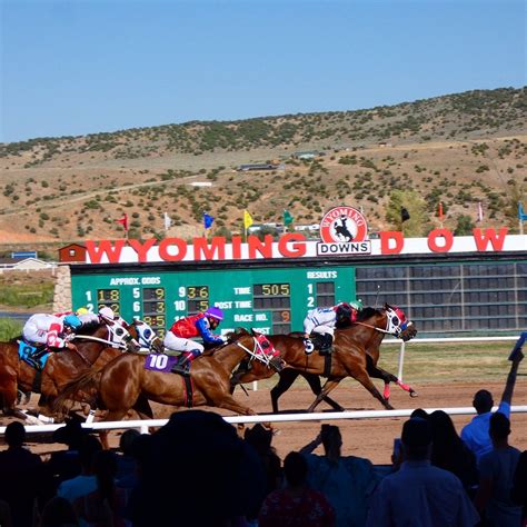 wyoming downs race track com