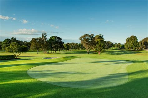 wyong golf club  Our Chefs offer a range of delicious menu options, from 2 and 3-course alternate menus to, Buffet and Finger food platters