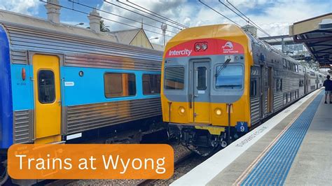 wyong to sydney train timetable  View