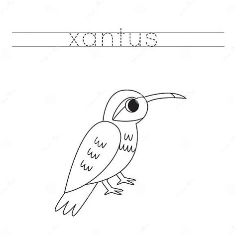 xantus pronunciation FLEXIBILITY definition: 1