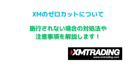 xm ゼロカット 条件  高レバレッジの方がロスカットされにくい