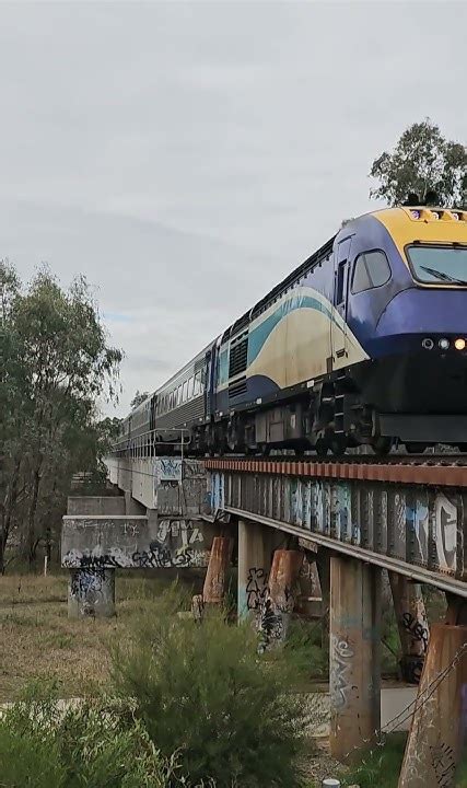 xpt wagga to melbourne  Operated by Busabout Wagga and NSW TrainLink XPT, the Wagga Wagga Airport (WGA) to Melbourne service departs from Cox Av After Sackville Dr and arrives in