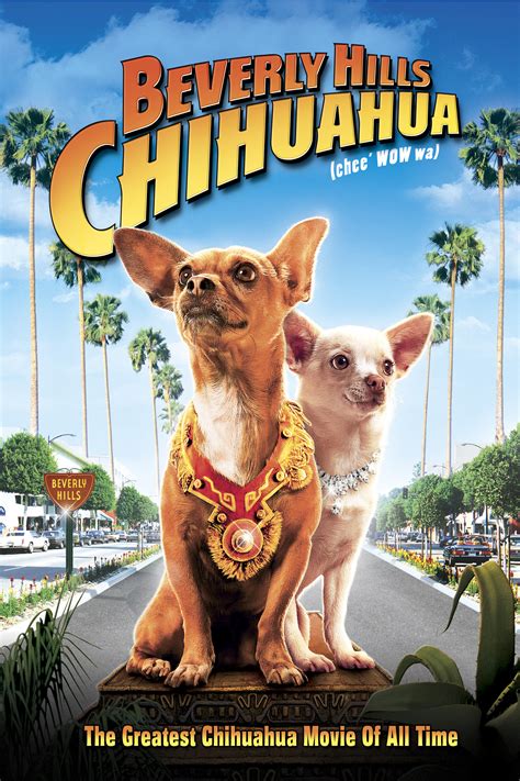 yesmovie beverly hills chihuahua A pampered Beverly Hills chihuahua named Chloe who, while on vacation in Mexico with her owner Viv's niece, Rachel, gets lost and must rely on her friends to help her get back home before she is… ‎Beverly Hills Chihuahua (2008) directed by Raja Gosnell • Reviews, film + cast • LetterboxdFind many great new & used options and get the best deals for Slumber Party Pack: The Baby-Sitters Club/Troop Beverly Hills (DVD, 2009, 2-Disc Set) at the best online prices at eBay! Free shipping for many products!