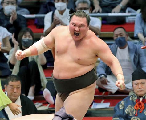 yokozuna hakuho net worth According to some reports, Hakuho’s net worth will rise by at least $50 million by the time he reaches retirement age in 2022