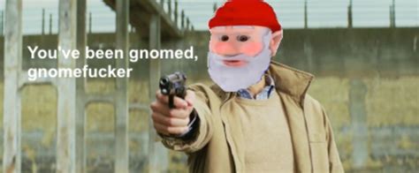 you've been gnomed meme  74% (404) Gnome