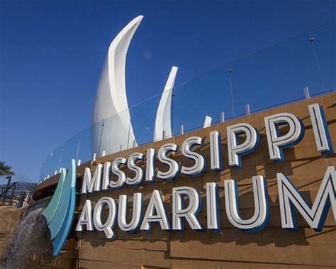 zoo in gulfport ms ; From Hattiesburg Zoo to Kids Rule, the Hattiesburg area offers 12 different types of family activities, including: Bowling, Zoos, Military Museums and National & State Parks