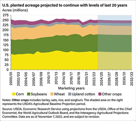 2024-23 Cotton Outlook USDA