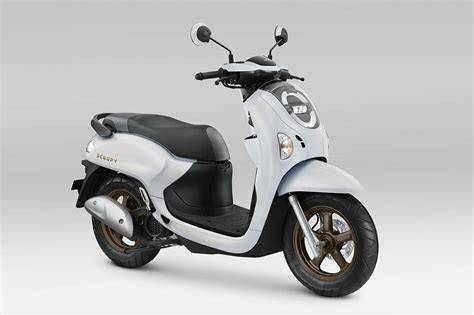 2025 Honda Scoopy Stylish - Motorcycles & Scooters - raincitystudios.com