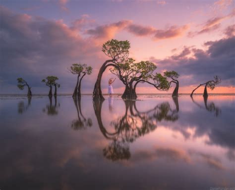 2025 Photography Tours & Workshops - Capture the Atlas - wintechmobiles.com