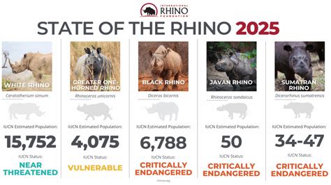 2025 State of the Rhino - International Rhino Foundation - muktibox.com