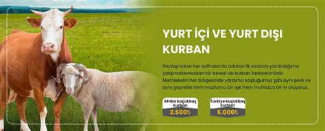 2025 kurban bağışları başladı! Gelirler şehit yakınlarına: Hisse fiyatı . 