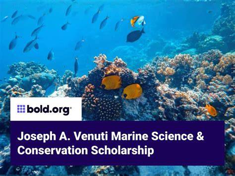 2026 Scholarships for Marine Sciences | CampusReel - raincitystudios.com