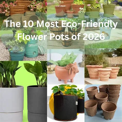 2026 Southeast Asia Flower Pots & Planters Export Strategy White … - raincitystudios.com