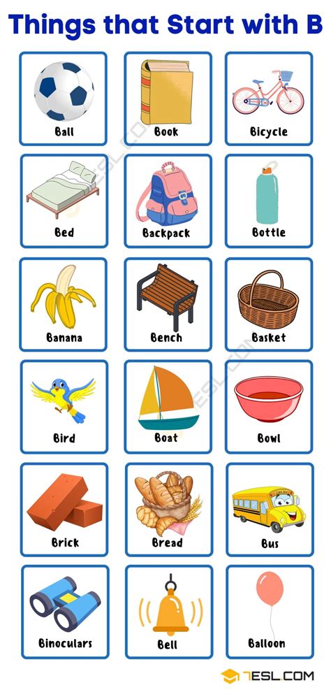 203 Things That Start With B In English Objects With Letter B - Objects With Letter B