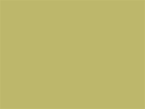 2048x1536 Dark Khaki Solid Color Background Warna Khali - Warna Khali