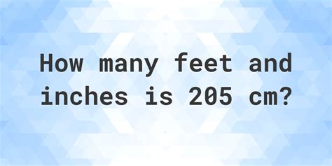 205 Cm Feet