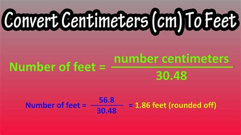 206cm To Feet