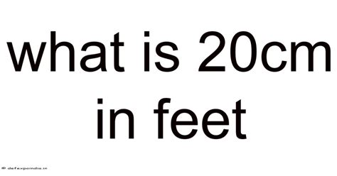 20cm In Feet