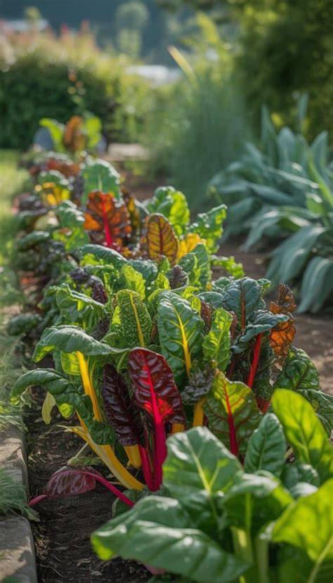 21 Edible Landscaping Ideas to Grow Food Beautifully - raincitystudios.com
