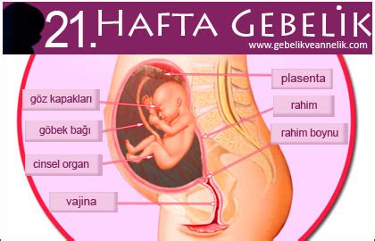 veodersti.rgarabwor.edu.pl. 