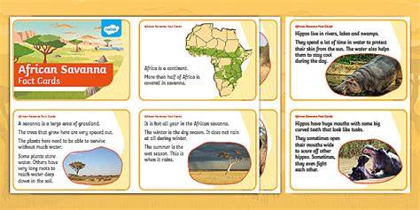 21 Interesting Facts About The Savanna - The … - raincitystudios.com