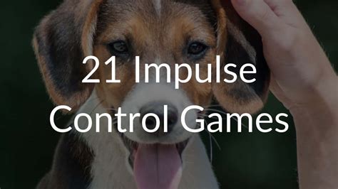21 Impulse Control Games for Dogs Impulse Control Training