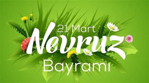 codini.rgarabwor.edu.pl. 