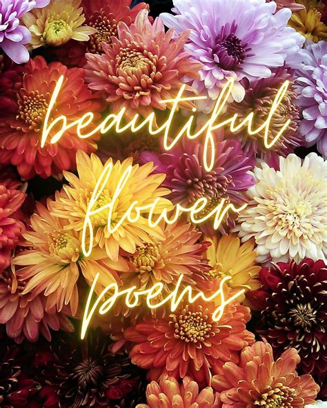 21 Beautifully Short Flower Poems Aestheticpoems Com Love Poems With Flowers - Love Poems With Flowers