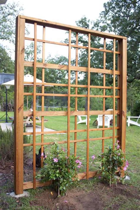 21 Garden Trellis Ideas To Add Structure To Fencing Trellis Ideas - Fencing Trellis Ideas