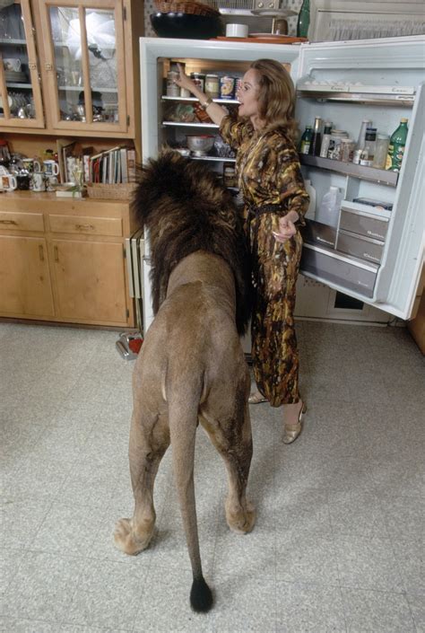 21 idee su Melanie Griffiths and her pet Lion melanie griffith ...