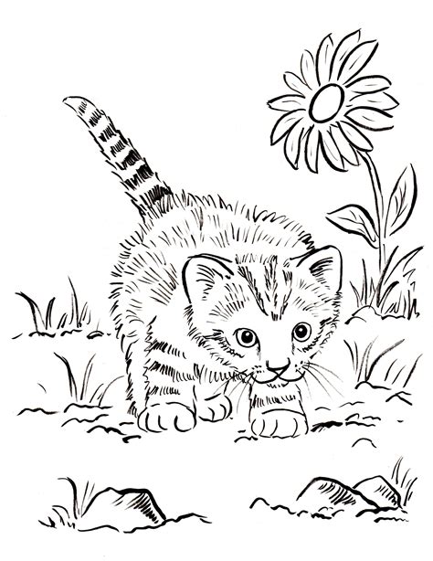 21 Kitten Coloring Pages Free Pdf Printables Baby Kitten Coloring Page - Baby Kitten Coloring Page