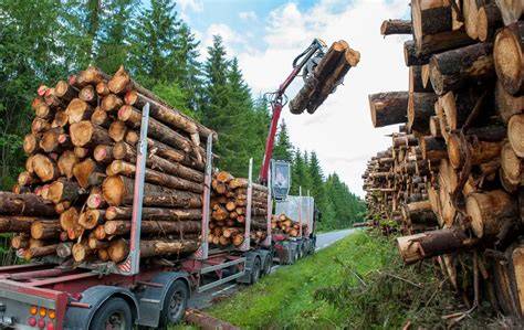 210: Timber Harvesting and Transport | Forest … - raincitystudios.com