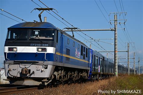 21006 Halı ve Koltuk Yıkama