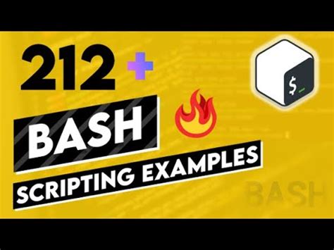 212 Bash Scripting Examples - YouTube