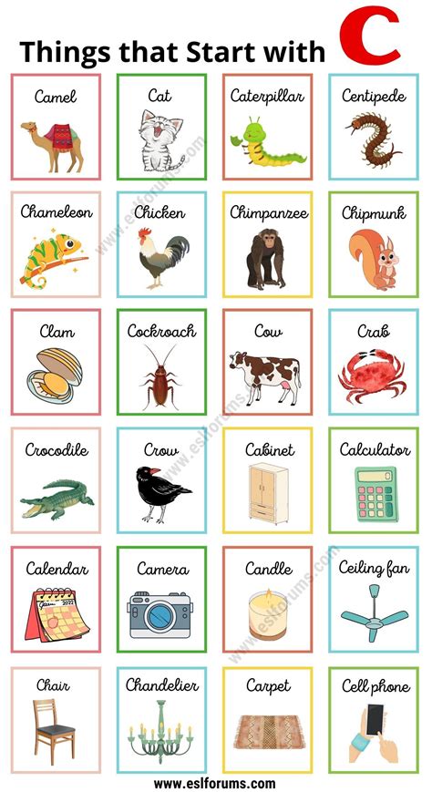 215 Useful Things That Start With C Esl Objects That Starts With Letter C - Objects That Starts With Letter C