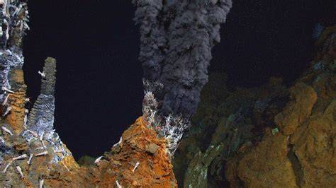 22 Facts About Hydrothermal Vents - raincitystudios.com
