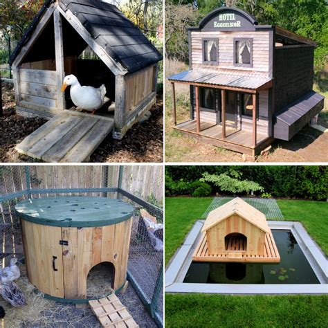 22 Free DIY Duck House Plans with Detailed Instructions