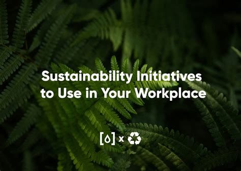 22 Green Initiatives For Sustainability in the Workplace - raincitystudios.com