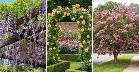 22 Natural Shade Ideas That Make Your Yard More Comfortable - raincitystudios.com