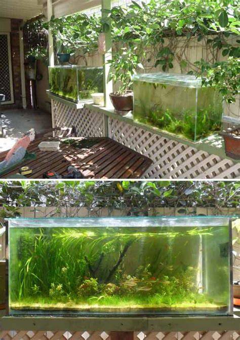 22 Small Garden or Backyard Aquarium Ideas - raincitystudios.com