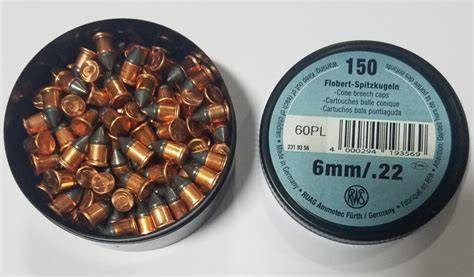 22 flobert ammo